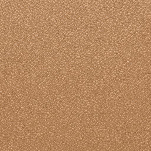 Oily Skin texture close-up